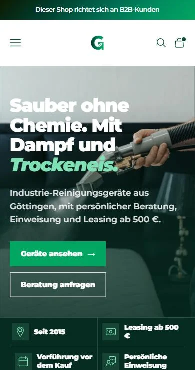 Startseite dampfreiniger-industrie.de, Smartphone